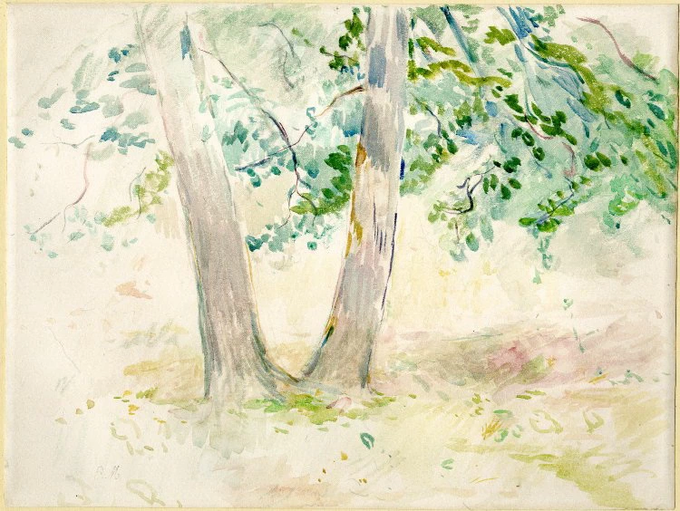 L'albero